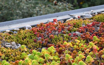 the cost of Rhos Y Meirch green roof installation