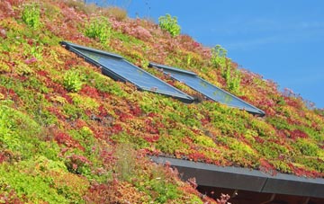 Rhos Y Meirch living roof systems